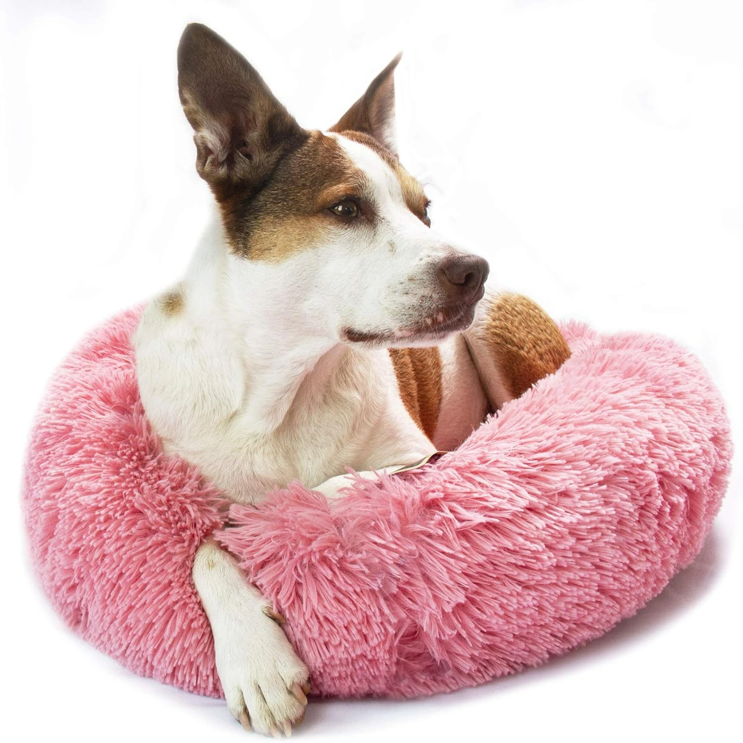 

Pink Ultra Plush Shaggy Round Donut Dog Bed for Maximum Comfort and Coziness (5371PINK) Dog grooming bows Ropa Cute dog leash