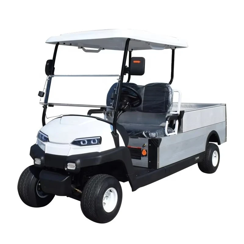 2 Seater with Cargo Box Golf Cart CE Approved Golf Utility Cart Electric Resort Style Buggy