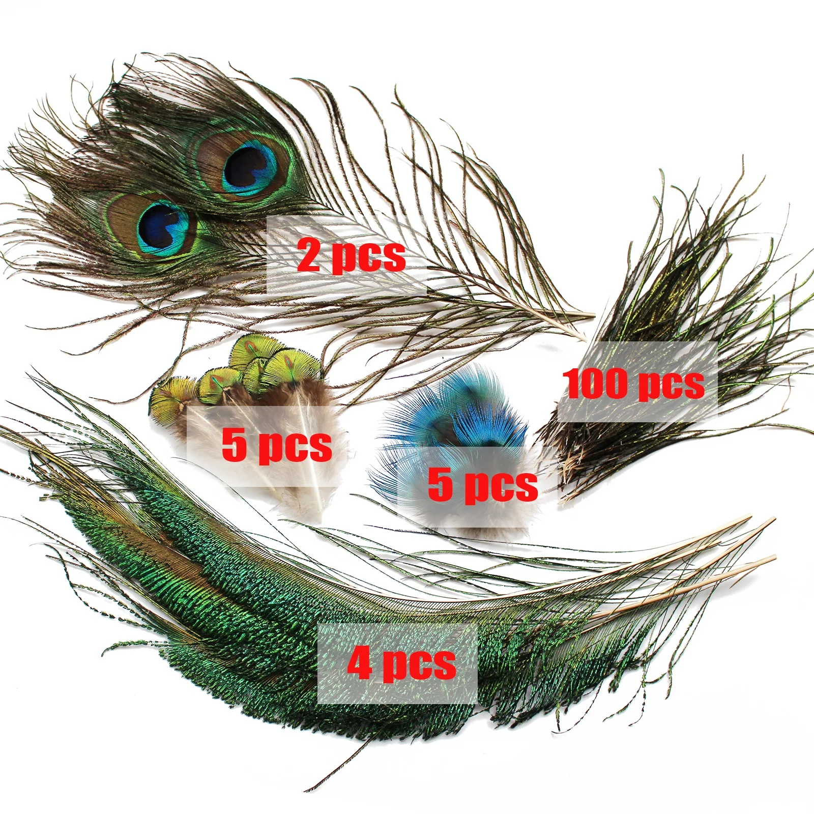 Tigofly Peacock Feather Set Sword Tail Herl Quills Feather for Nymphs Wet Flies Classic Fly Tying Materials