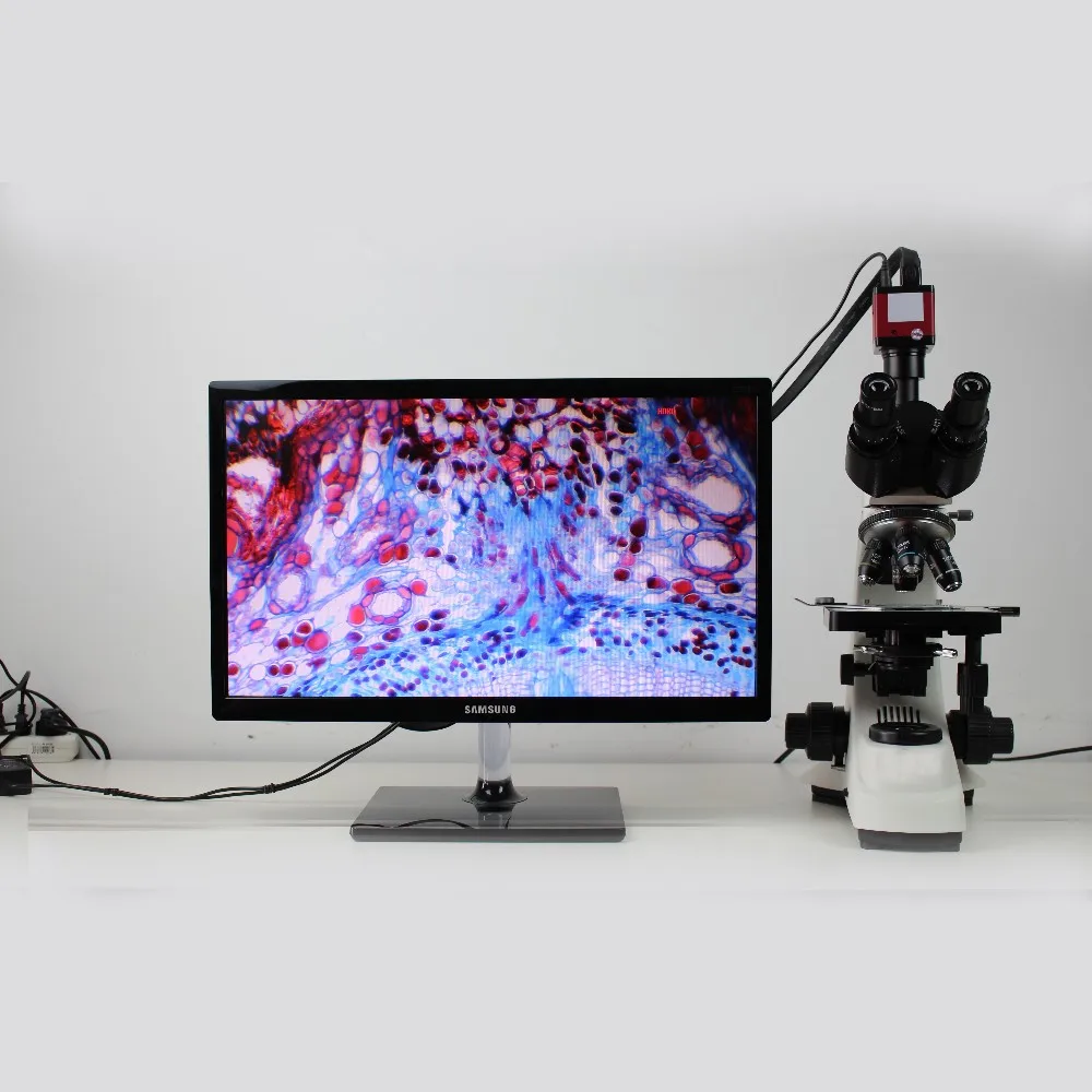 Laboratory Biological Microscope with  and Screen MSL-500T