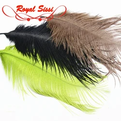 Royal Sissi 4 feathers pack medium size Ostrich feathers premium ostrich herl plume nymph body thorax collar fly tying materials