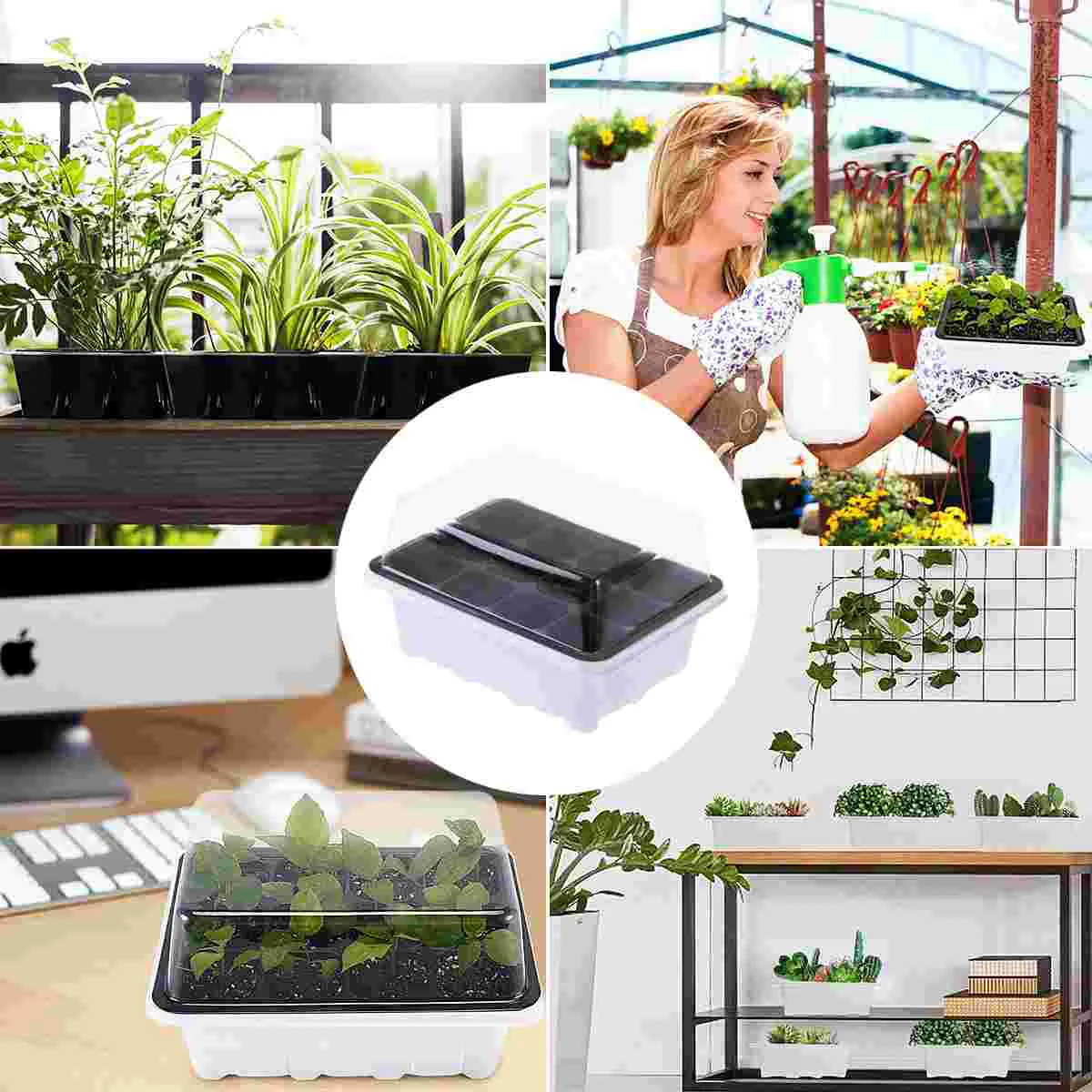 10 Pack Small Plant Tray Growing Trays Seedling Pot Germination Grower Sprouter Cell