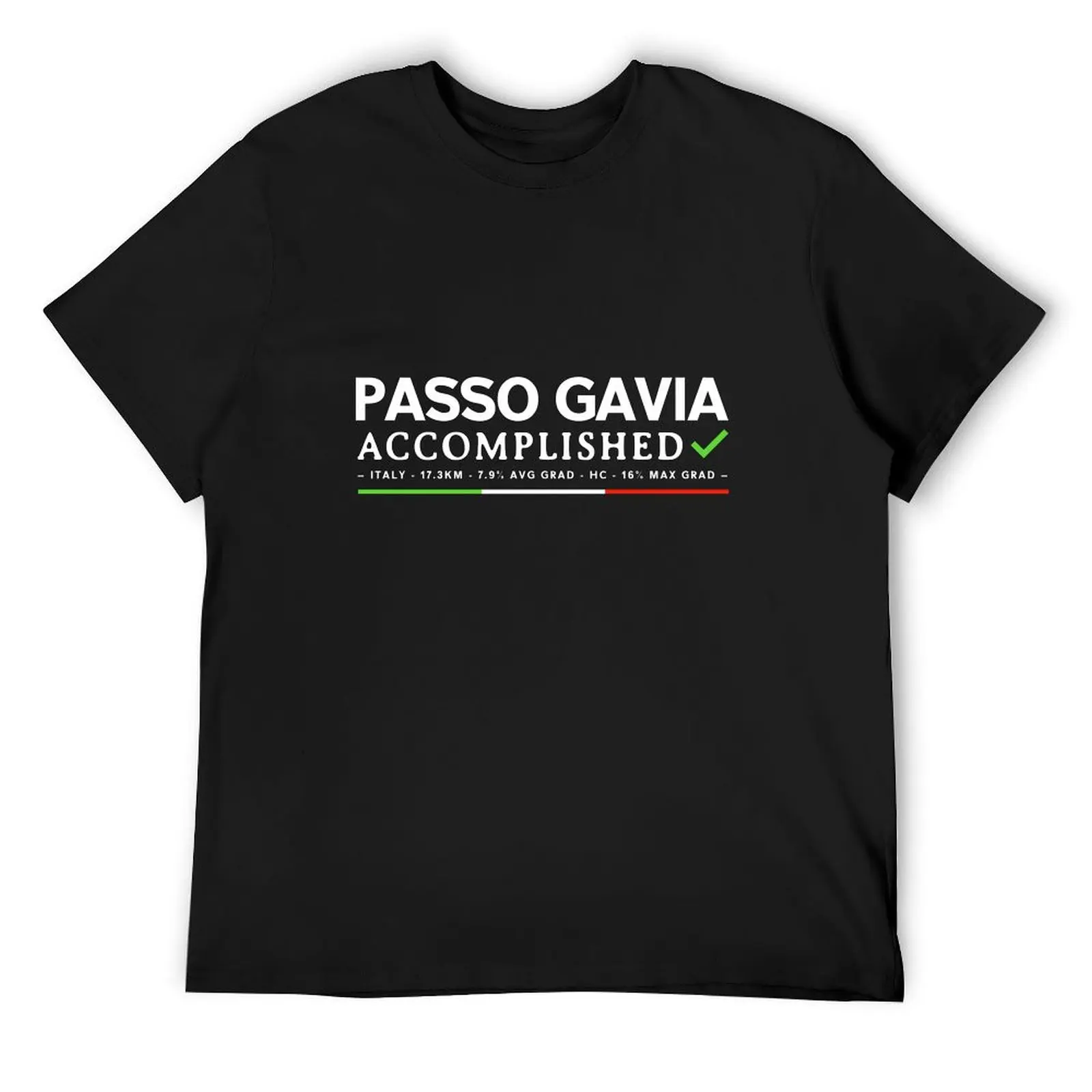 Passo Gavia Accomplished T-Shirt summer top oversized graphic tee vintage aesthetic clothes fruit of the loom mens t shirts