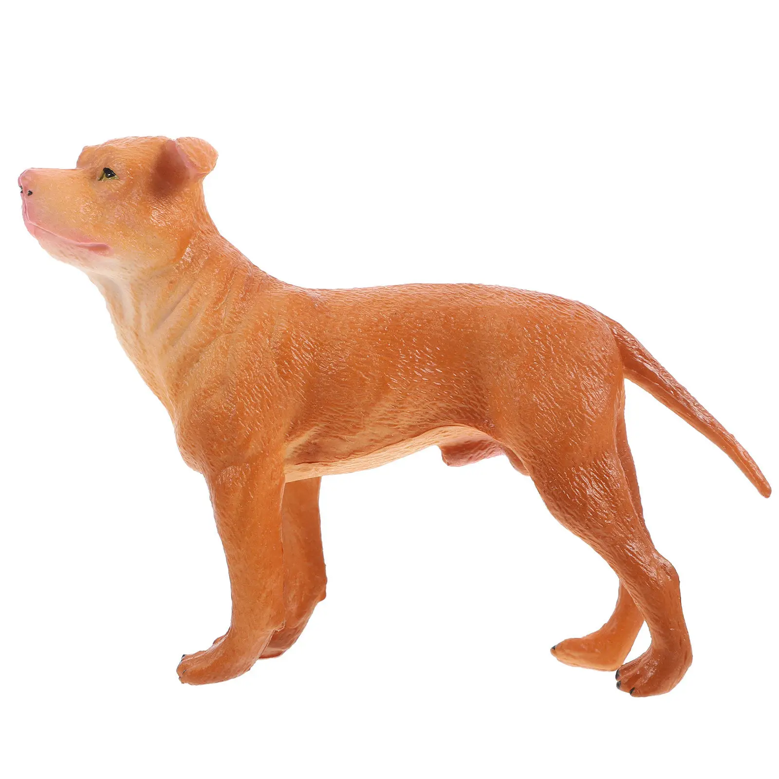 Plastic Realistic Dog Figure Lifelike Pose Bright Colors Home Bedroom Garden Nursery Decor Educational Animal Learning Tool