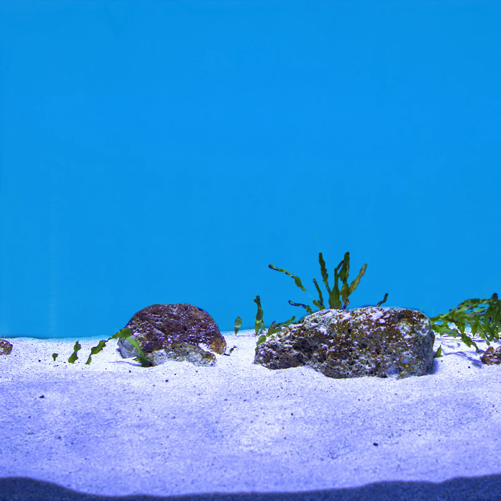 

Double-Sided Background Paper Thickened Decorative Sticker Waterproof Non-Fading Underwater Picture Wall Aquarium Wallpaper