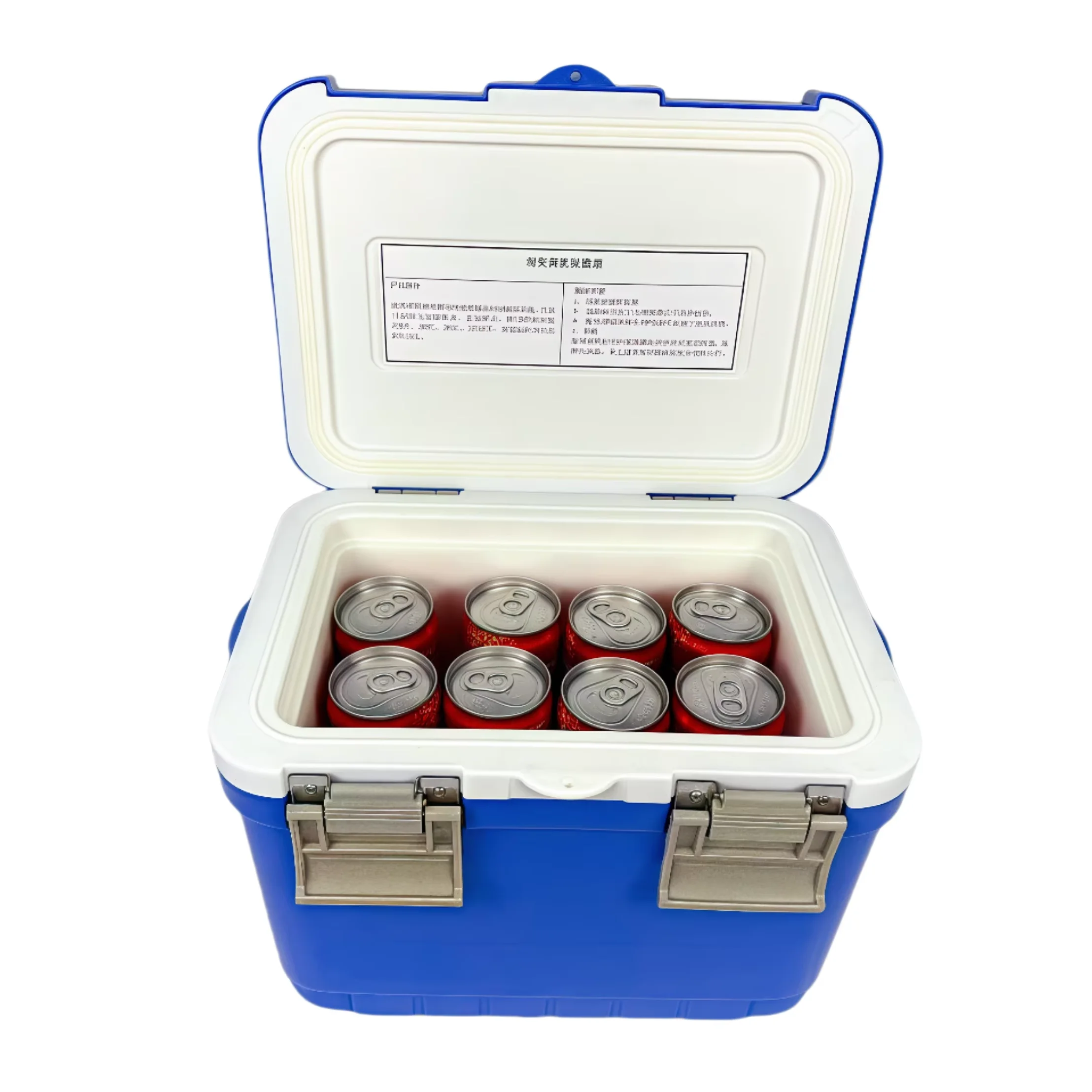 

6L Small Pp Hard Plastic Insulated Box Portable Ice Cream Cooler Box For Picnic Camping Hiking Insulated Box