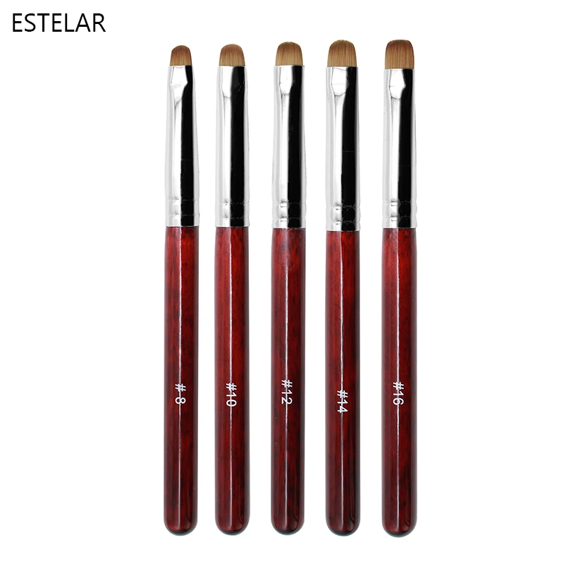 ชุดแปรงทำเล็บแบบฝรั่งเศส 5 ชิ้น แปรงสองหัวสำหรับทำเล็บ ปากกาแต้มลายเล็บ อะคริลิค วาดลาย เพ้นท์เล็บด้วยเจล ประดับเพชร สำหรับมือใหม่ 8-16