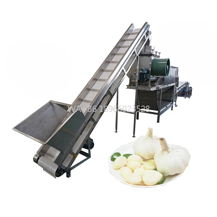 خط إنتاج آلة تقشير الثوم الجاف الصناعية الأوتوماتيكية الجديدة #1