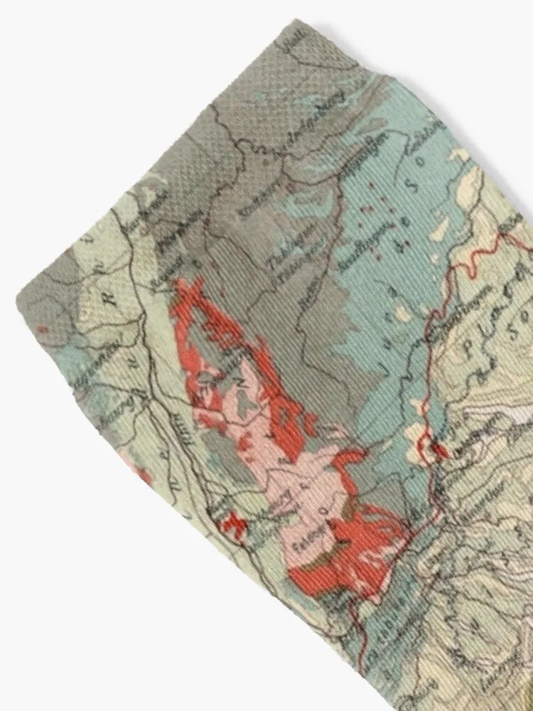 Vintage Alps Geology Map (1921) Vintage Swiss Mountain Range Geologic Atlas Socks snow sheer Male Socks Women's