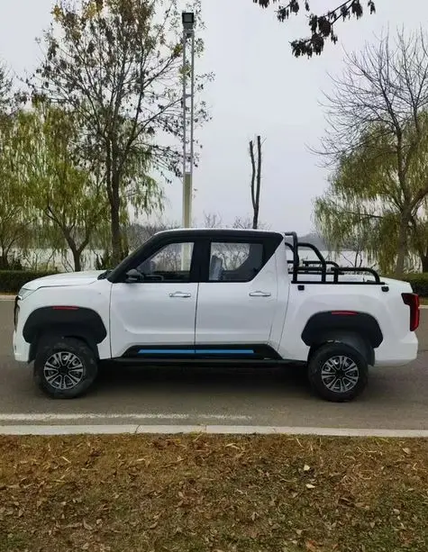 Best Quality Hot Selling World Wide Demand New Energy Electric High Performance Electric Pickup Truck Electric For Sale