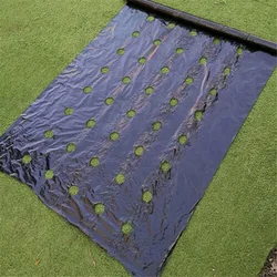 Agriculture Mulch Pre-punched Hole Plastic Film Plants Film Perforated Mulch Anti Grass Home Garden PE Vegetable Ground Cover