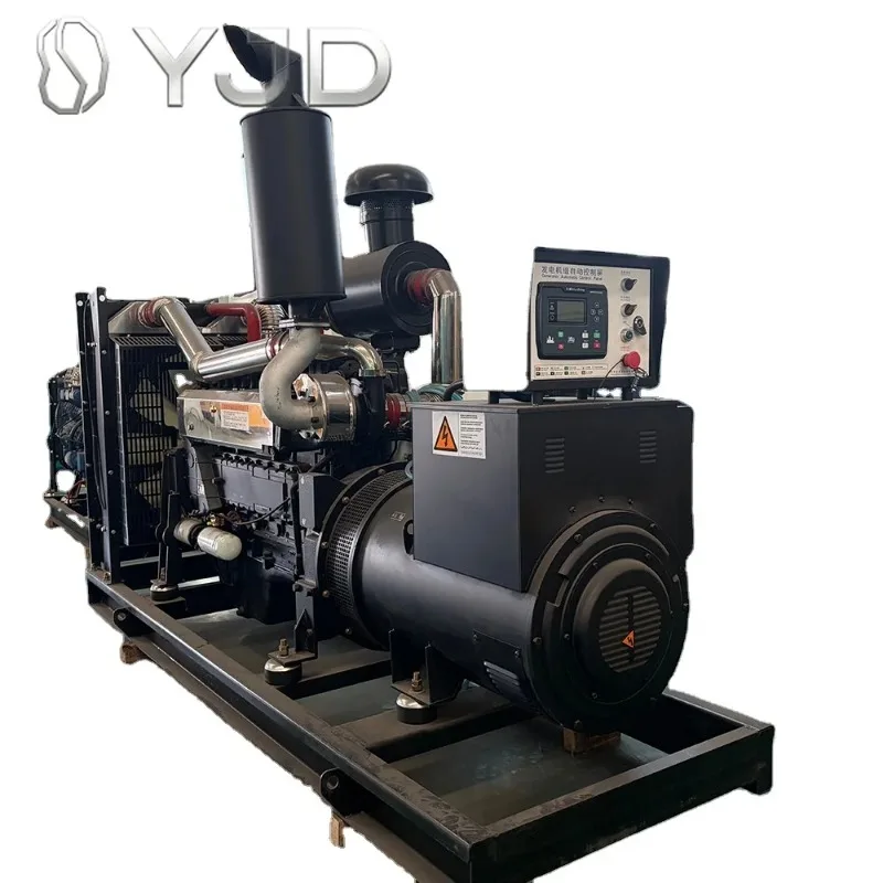 250kVA Open Frame Generator 400V 60Hz Heavy Duty Industrial