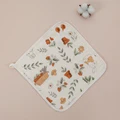 rabbit 1pc