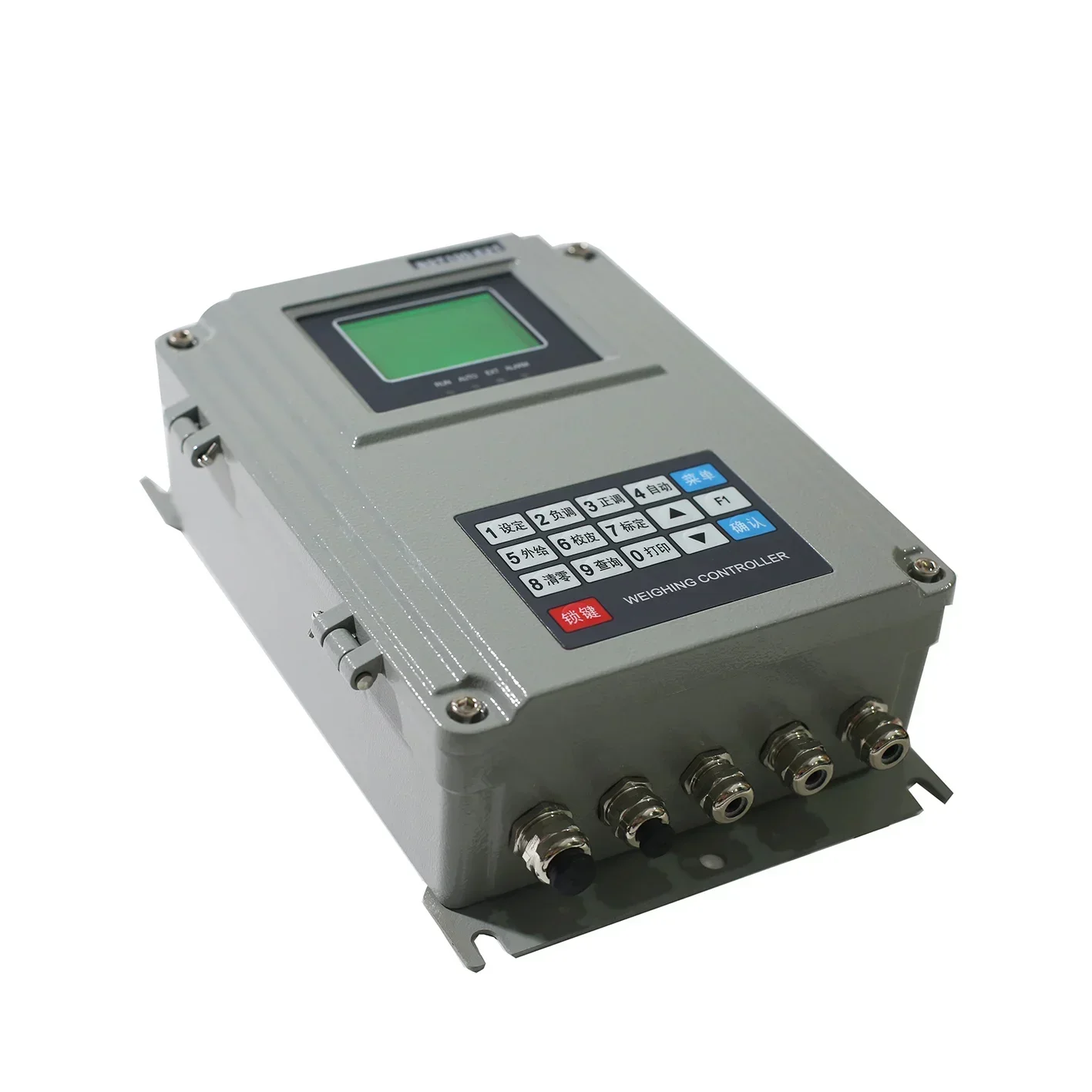 2026/Batching Scale Weight Control System Indicator Weighing Controller BST100-E21