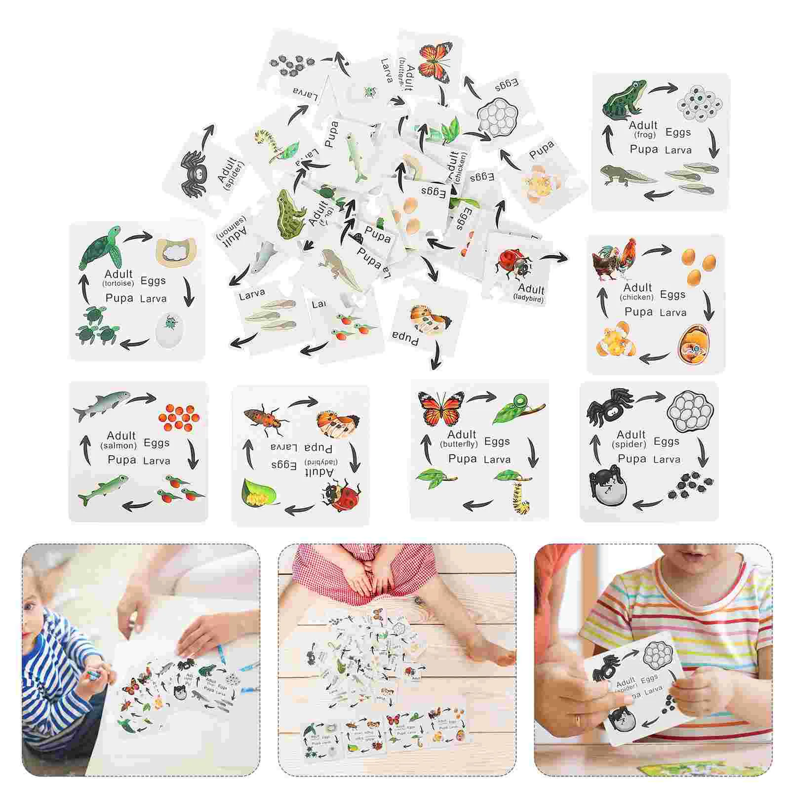 

7 Sets Puzzle Pieces Preschool Toys Child Baby Wooden Kids Puzzles Animal Life Cycle For