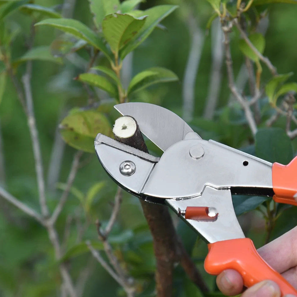 Fruit Scissors SK5 Steel Pruning Shears Ergonomic Handles Durable Flower Scissors Convenient Sharp Gardening Scissor Branches