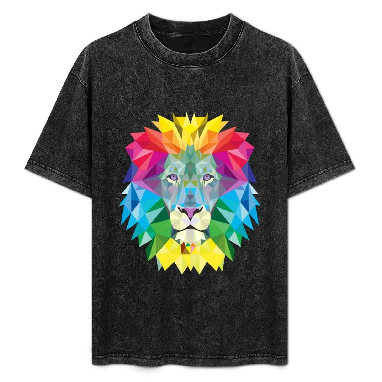 

Colorful Lion Art Design T-Shirt anime figures anime stuff blue archive anime tshirt t shirts men