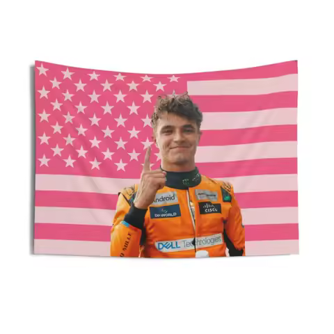 Lando Norris Pink American Flag Tapestry, aesthetic room decor, funny room decor, Lando Norris gift