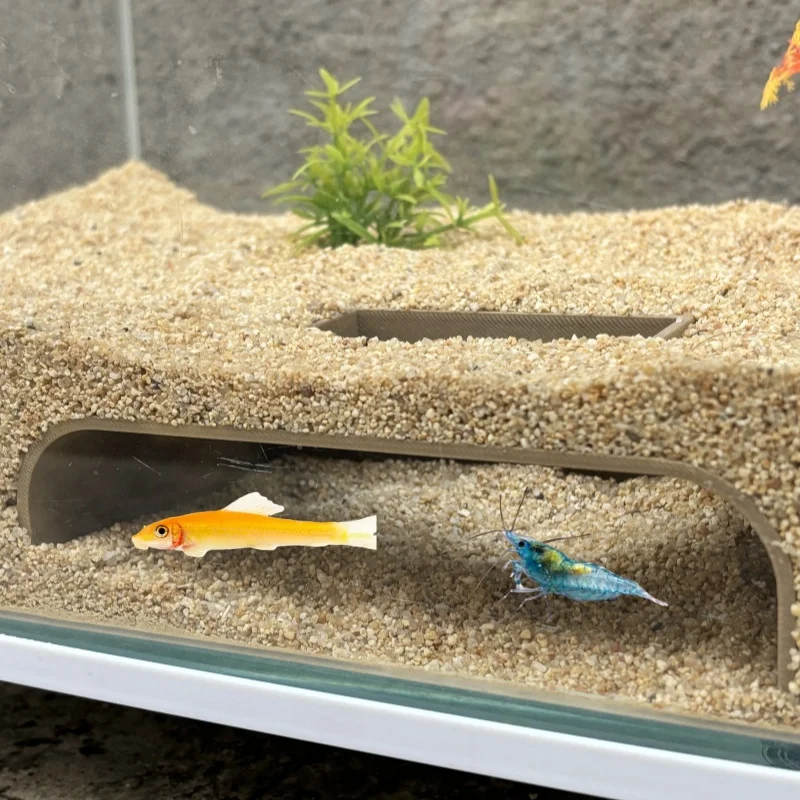 魚とエビの洞窟水族館の装飾、エビと稚魚のシェルター