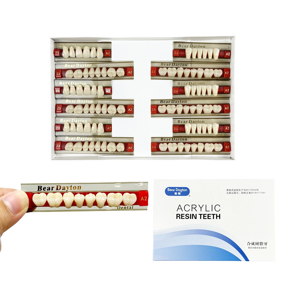 

Dental Resin Teeth Denture Teeth Guide Color Comparator Mirror A2 Color Dentistry Materials 22/23/24 Teeth Model White Bleaching