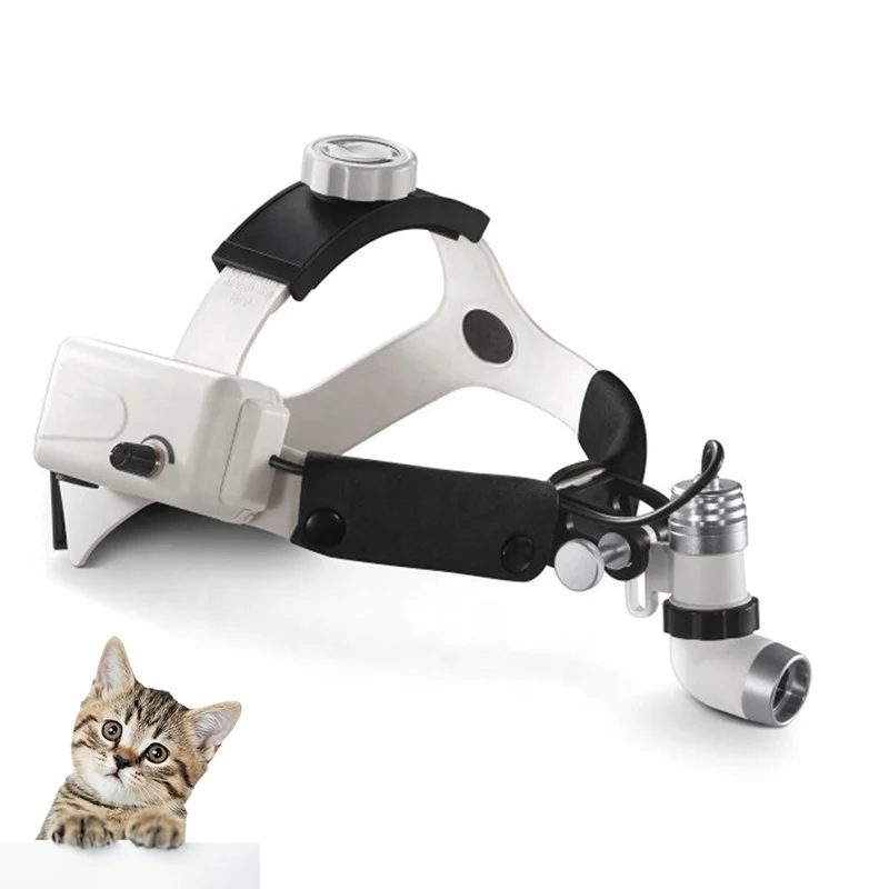 Vet Doctor Medical ENT Dental Headlight Veterinary Portable LED Camera Surgical Headlight for ENT