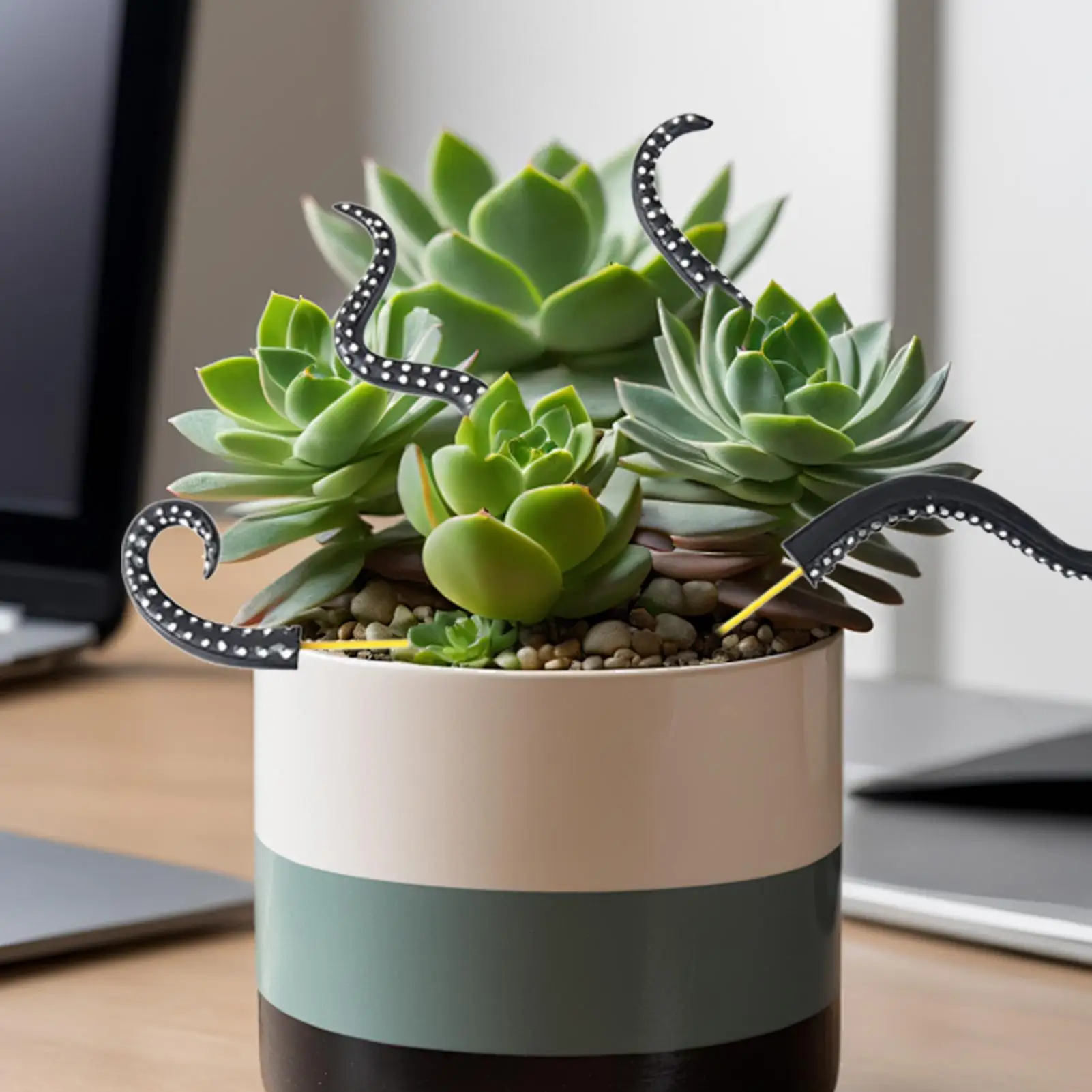 

Колья для растений, щупальца осьминога, декоративные 7-компонентные опорные палочки для скалолазания, светящиеся в темноте для газона, двора, в горшках, на открытом воздухе