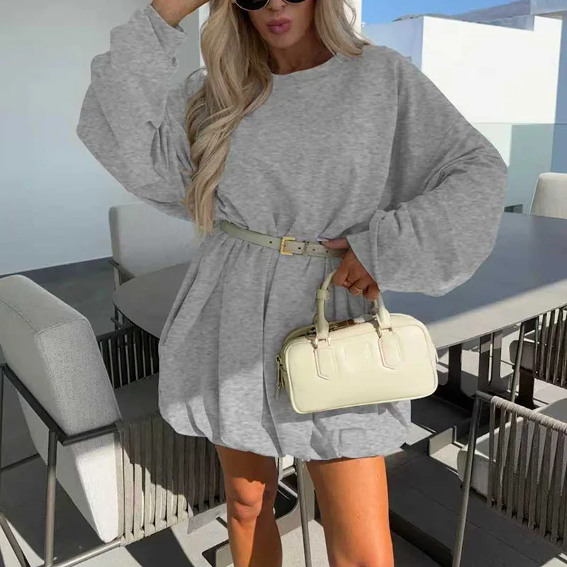 Autumn Winter Long Sleeve Sweatshirt Dress Woman Casual Round Neck Simple Pullovers Dress Fashion Solid A-Line Office Lady Dress