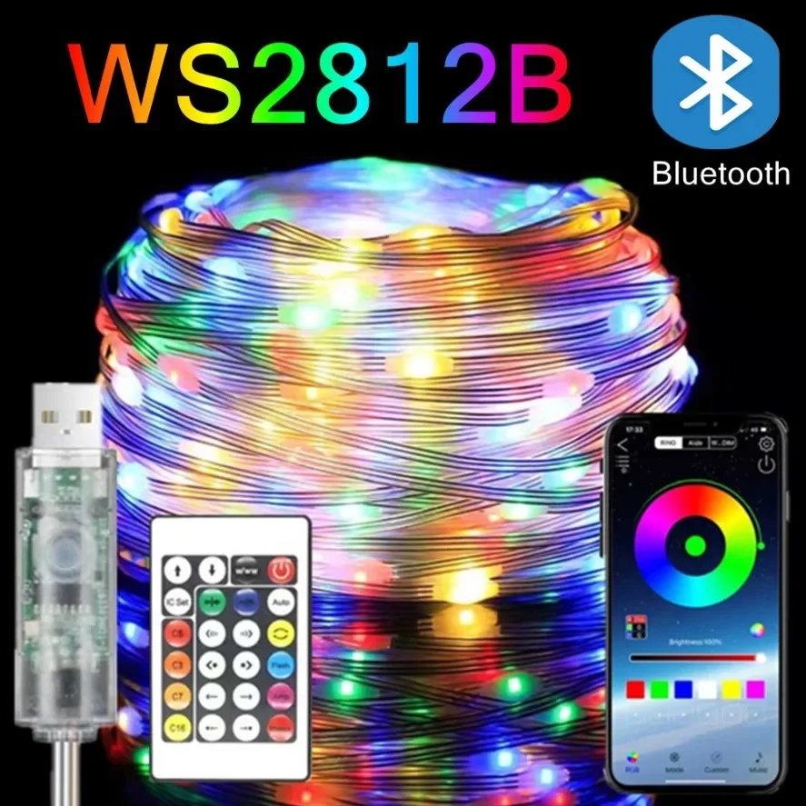 WS2812B RGBIC LED سلسلة ضوء RGB الجنية أضواء عيد الميلاد بلوتوث USB 5 فولت عنونة بشكل فردي الموسيقى APP لون الحلم