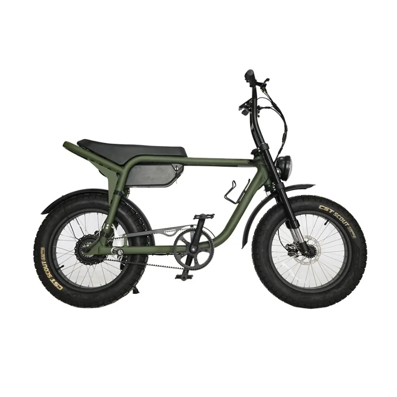 Custom Upside Down The Battery All Terrain Electric Bicycle Vintage Retro Electric Electric Fat Bike Bicycle Mountain E-bike