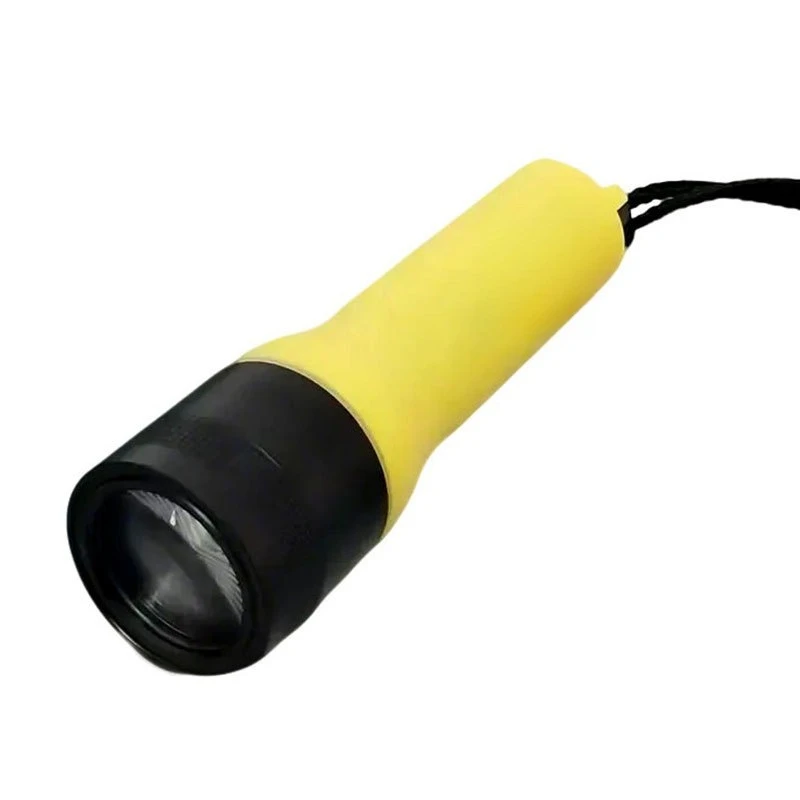 

Diving enthusiasts equipped with strong light flashlight outdoor sea night diving