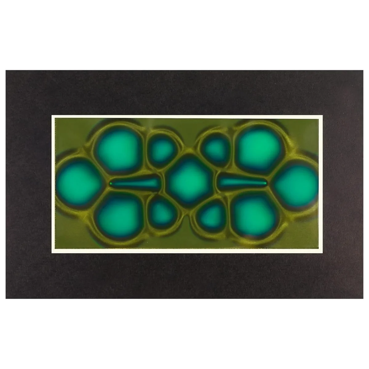 

Магнитная смотровая пленка A75K, 2-дюймовый x 4-дюймовый просмотрщик магнитного поля для научных проектов, многоразовый и автоматическое восстановление