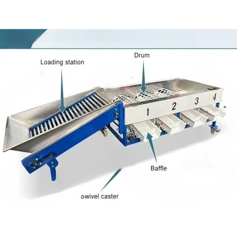 Automatic Orange Blueberry Fruit Sort Machine Garlic Tomato Clean and Size Sort Machine