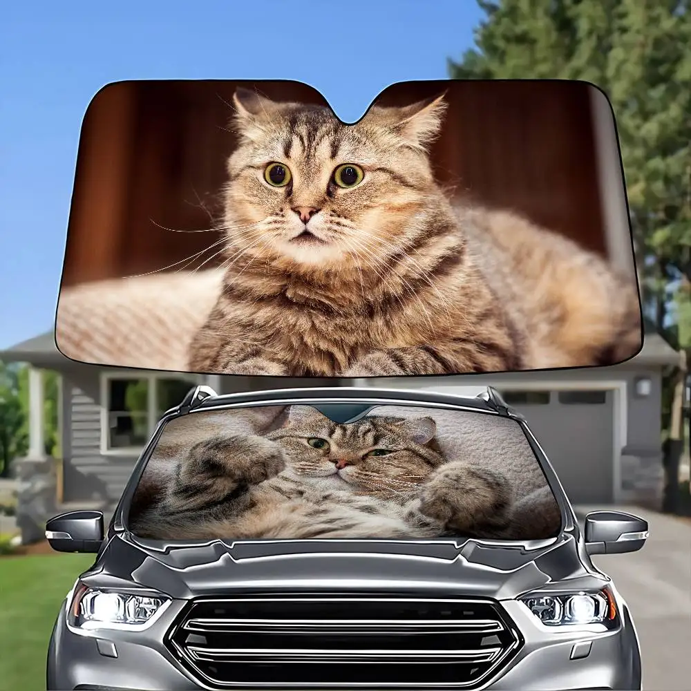 ذكي وأذى القط زجاج سيارة ظلة غطاء طوي السيارات الشمس الظل قناع نافذة الأشعة فوق البنفسجية عاكس إبقاء سيارة باردة
