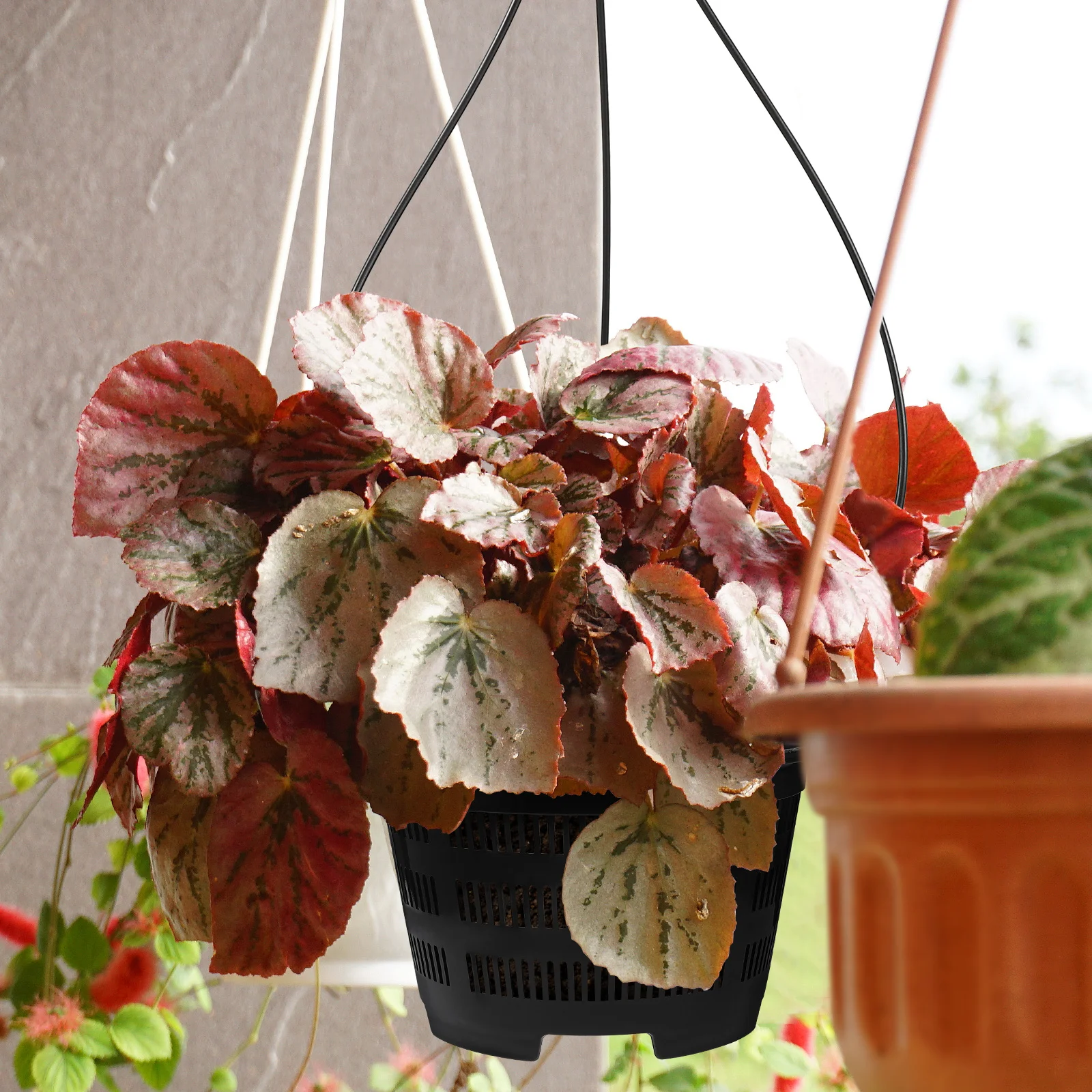 

5 set Orchid Hanging Pots Cachepot Vases for Plants Indoor Outdoor Flower Planters Decorative Drainage Design Large Porous