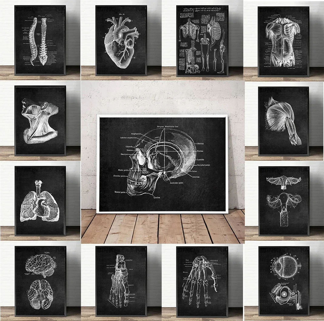 Anatomy Art White and Black Medical Canvas Painting Flower Organ Cardio Lung Poster Printing Education Hospital Home Decor