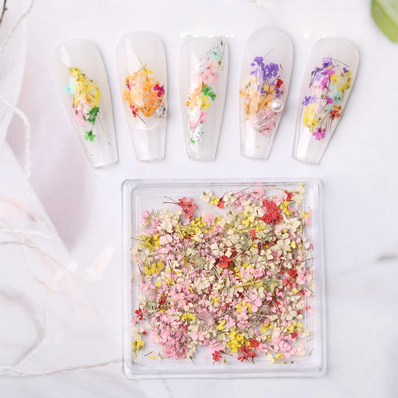 Mixed Color Nail Decoration Box with Nail Dried Flowers, Lace and Floral Accessories DIY Nail Decoration Set