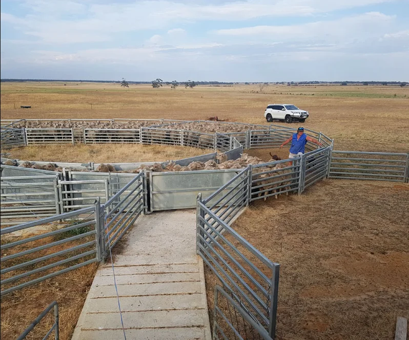 

Portable Sheep Yard Panels System With Folding Gates for Goat and Livestock Farm