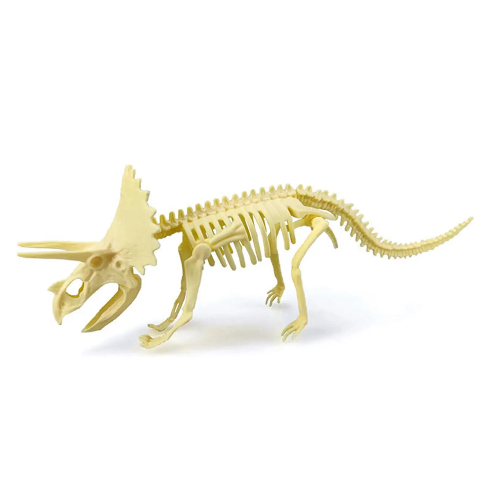 โมเดลโครงกระดูกไดโนเสาร์ Triceratops Tyrannosaurus figurines CRAFT figures