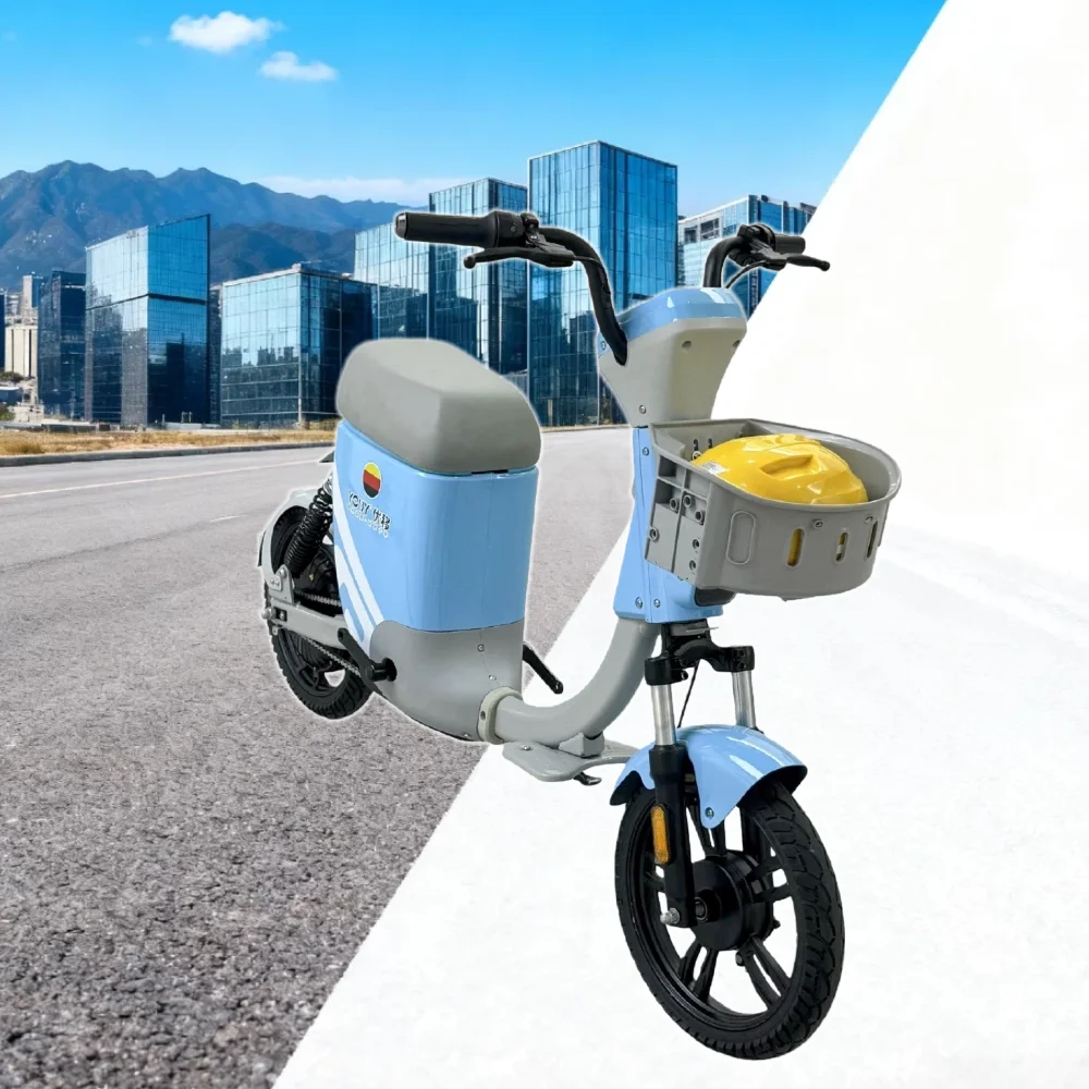 

YTYIN 2025 Popular 400W 48V Electric Bike With 60-70km Range