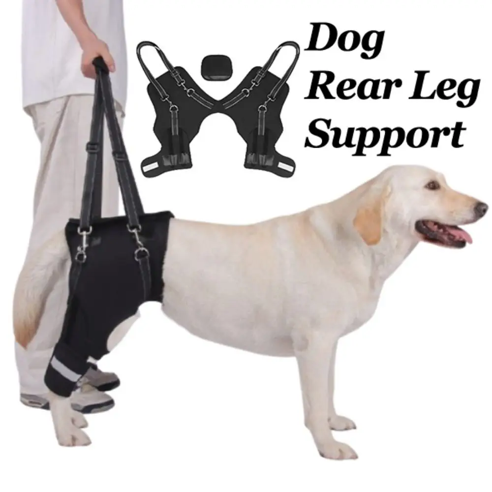 Pernas suporte de quadril para cães, arnês preto com alça resistente, suporte traseiro para pernas, ajustável, respirável, ferramenta de assistência para animais de estimação