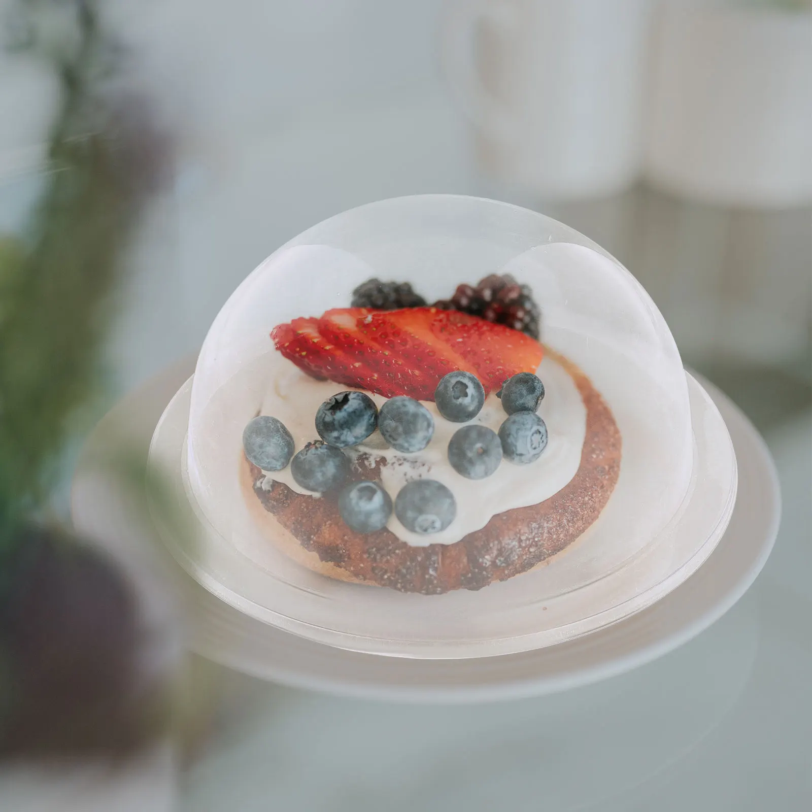 

5Pcs Clear Cake Cover Food Dome Protective Lid for Home Party Dessert Display Elegance Cover for Food Cake Dome