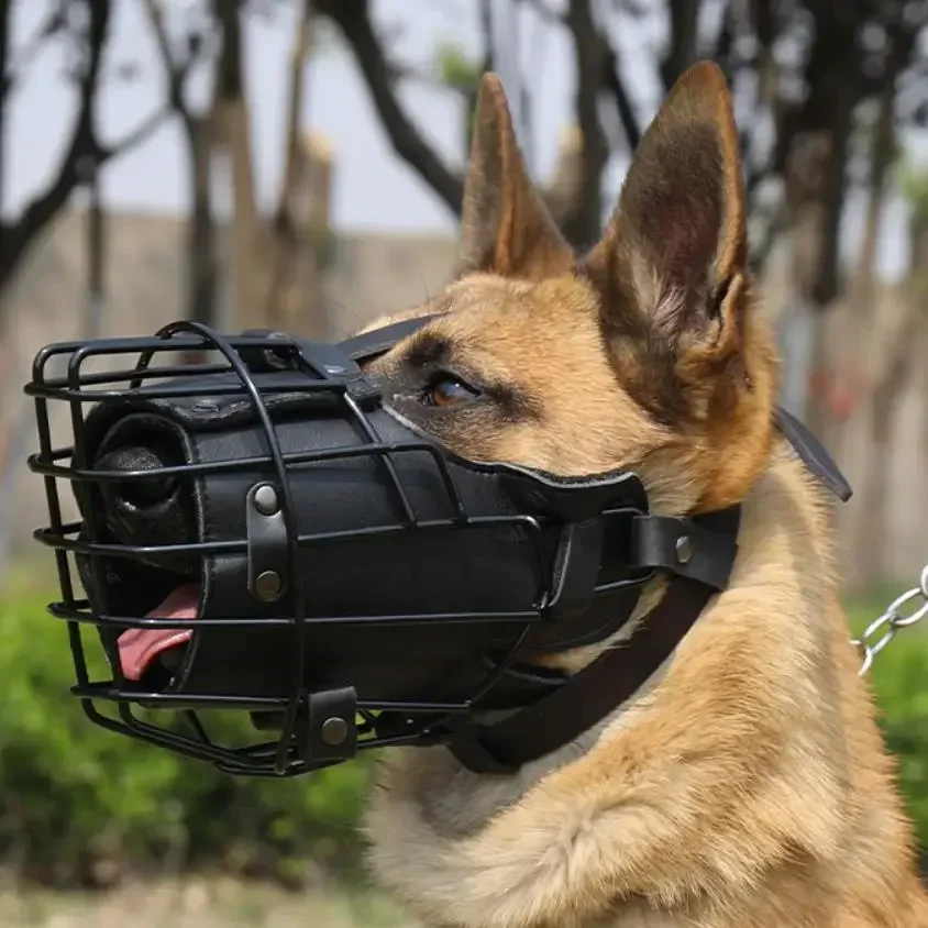 Dog Tactical Impact Metal Muzzle, Anti-Bite Pet Dog Training Mouth Cage Mask for German Shepherd Doberman Rottweiler Sniffer Dog