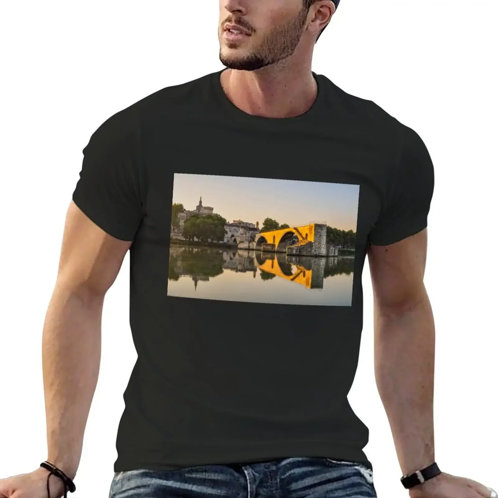 Avignon Bridge Reflection T-Shirt anime figures street wear Short sleeve tee men