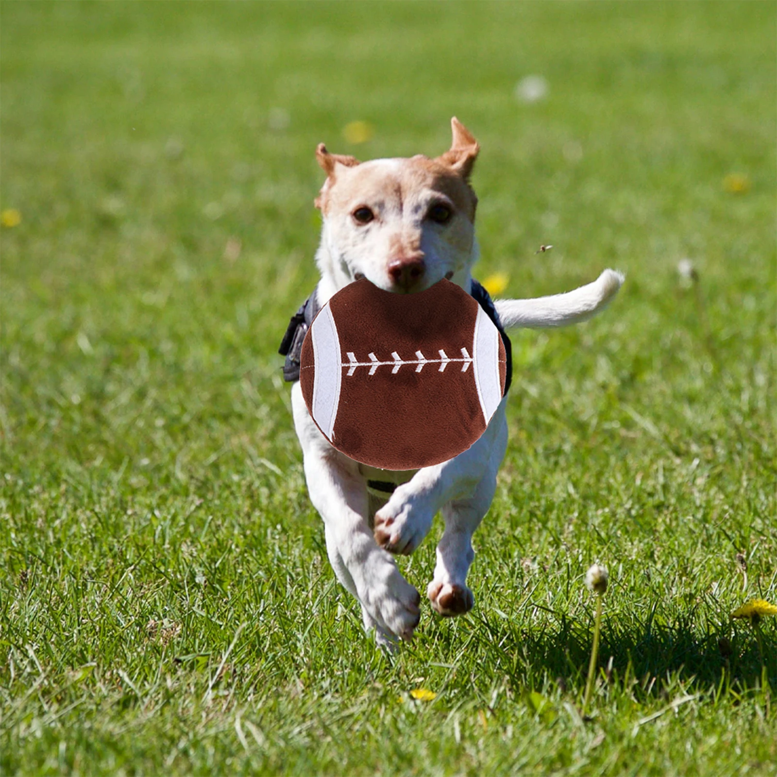 

Rugby shaped Plastic Pet Throwing Pet Throwing Training Toy Outdoor Rugby Shaped Flying Saucer Dog Toy