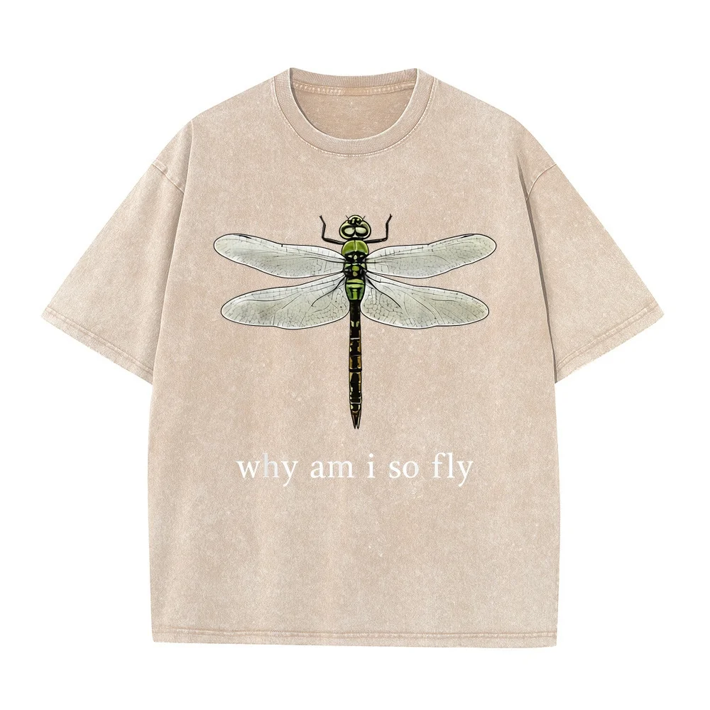 Why Am I So Fly Funny Dragoy Pun Insect Lover T-Shirt Pure Cotton Printed Men Humor Summer Tops Cartoon Tシャツ Shirt Herren 고퀄