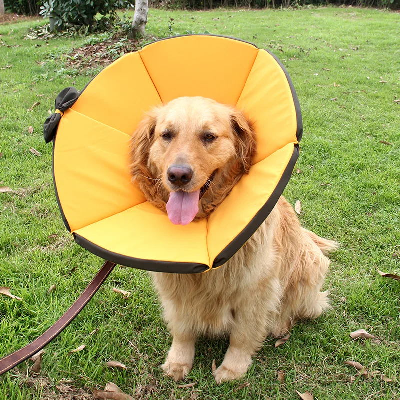Pet supplies dog care neck cover protective cover waterproof and bite proof pet protection cover collar