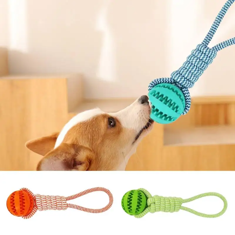 Dog Ball With Rope Dog Toy Ball On Rope Fetch Toy Interactive Dog Rope Tug Exercise Chew Training Toy For Grassland Home Beach