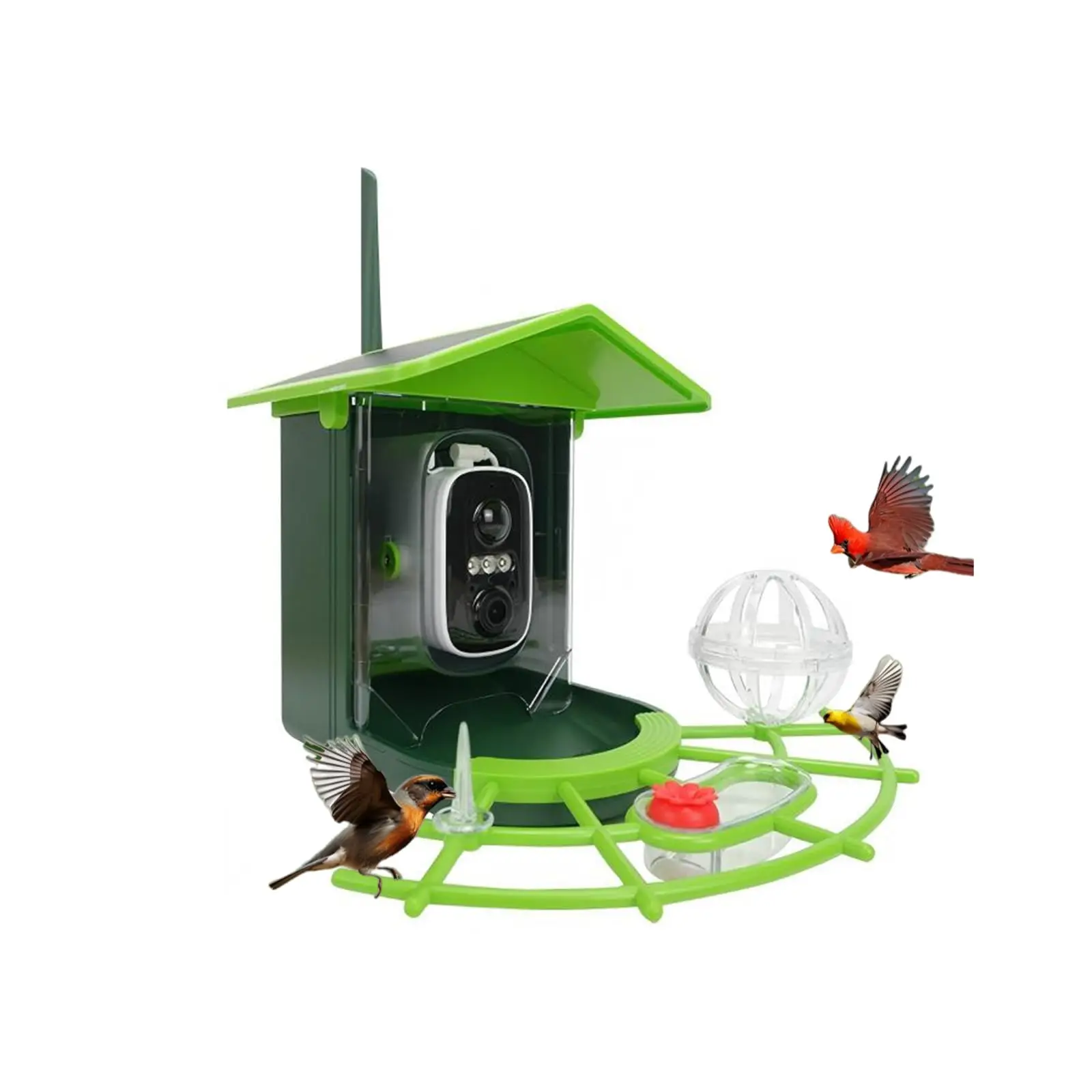AI-Powered Smart Bird Feeder with Camera, Solar Powered HD Video, Bird Identification & Squirrel Deterrent, Color Night Vision