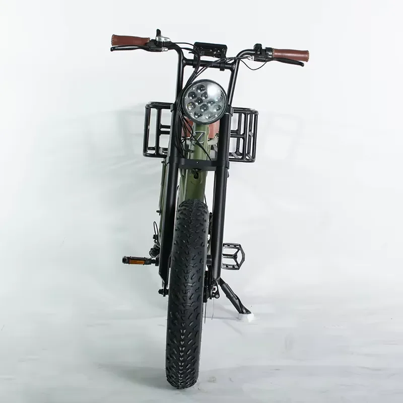 500W 48V 12Ah Electric Cargo Bike 20 Inch Fat Tire 7 Speed Brushless Motor Aluminum Alloy Frame Large Rear Rack Ebike for