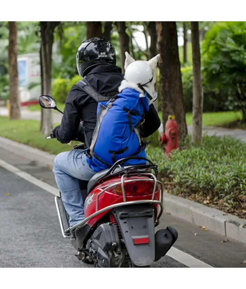 Zaino porta cani in nylon resistente per cani di piccola taglia media Zaino da ciclismo traspirante di alta qualità per forniture per animali domestici da viaggio all'aperto